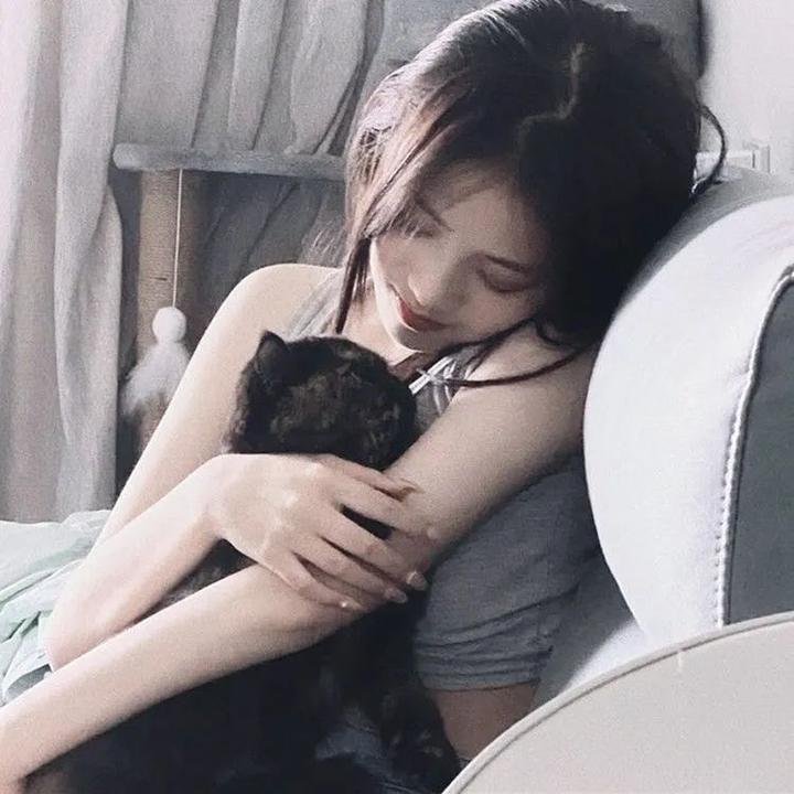 暴太郎战队DON BROTHERS